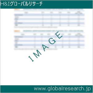 グローバルリサーチ調査レポートのイメージ